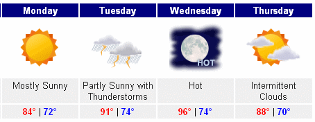 this week's weather